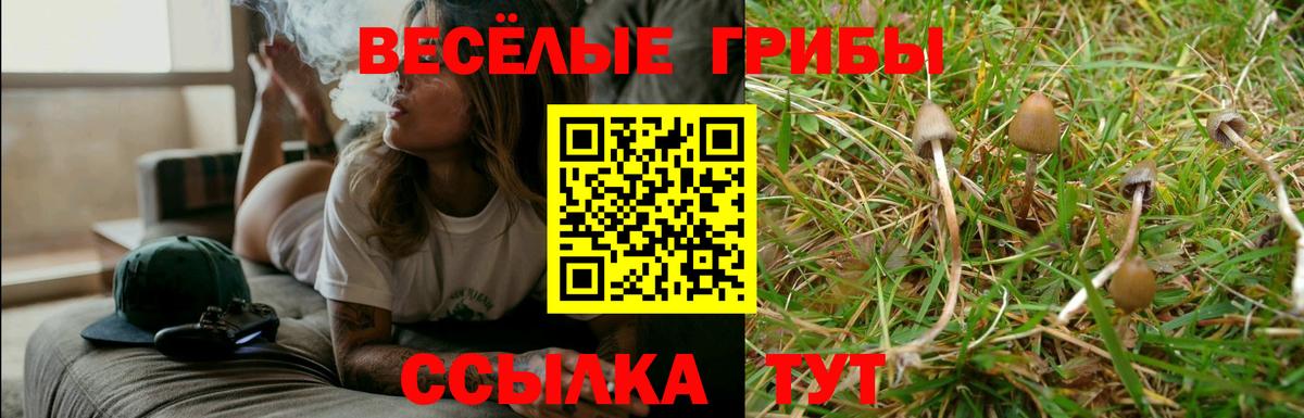 Псилоцибиновые грибы Psilocybine cubensis Рассказово