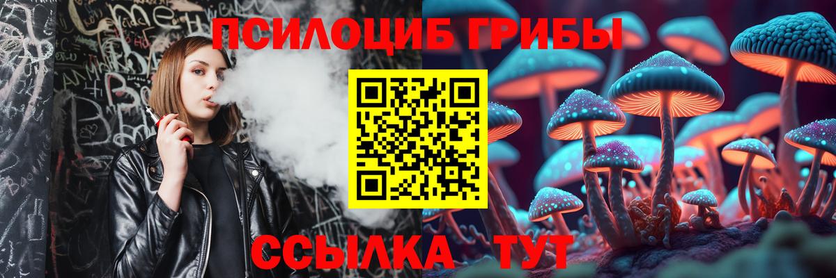 Галлюциногенные грибы MAGIC MUSHROOMS  Вход с VPN  Рассказово 